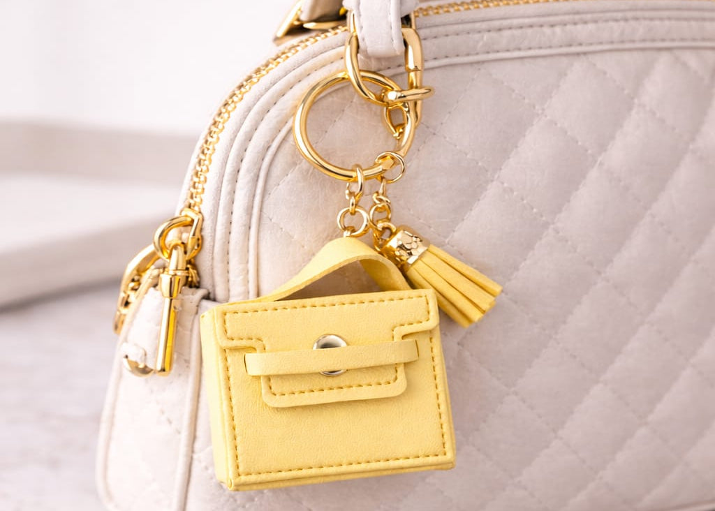 Mini Handbag Case keychain